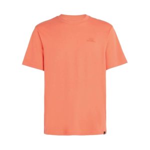 T-SHIRT O'NEILL UOMO SMALL LOGO MC 2850371 12535